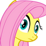 Fluttershy Reacts