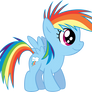 Rainbow Filly
