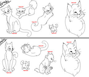 lineart set1 -cats-