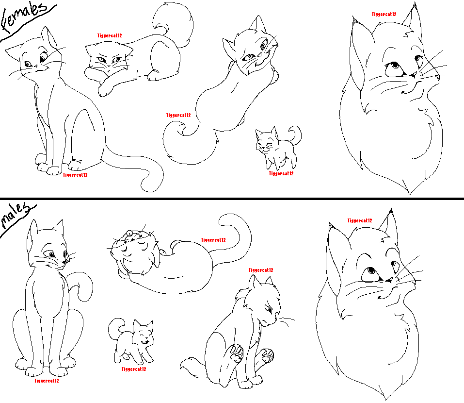 lineart set1 -cats-