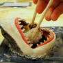 Shark Sushi Plate