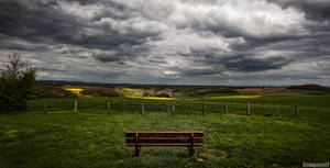 Bench and a view