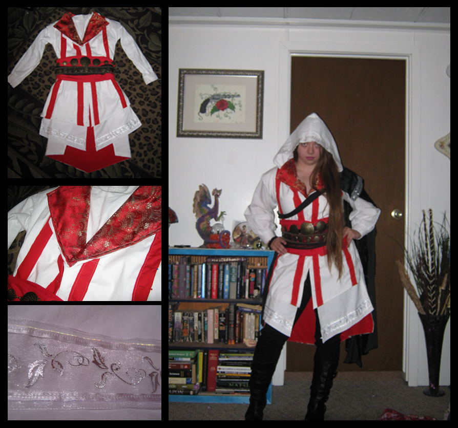 Assassin's Creed costume I