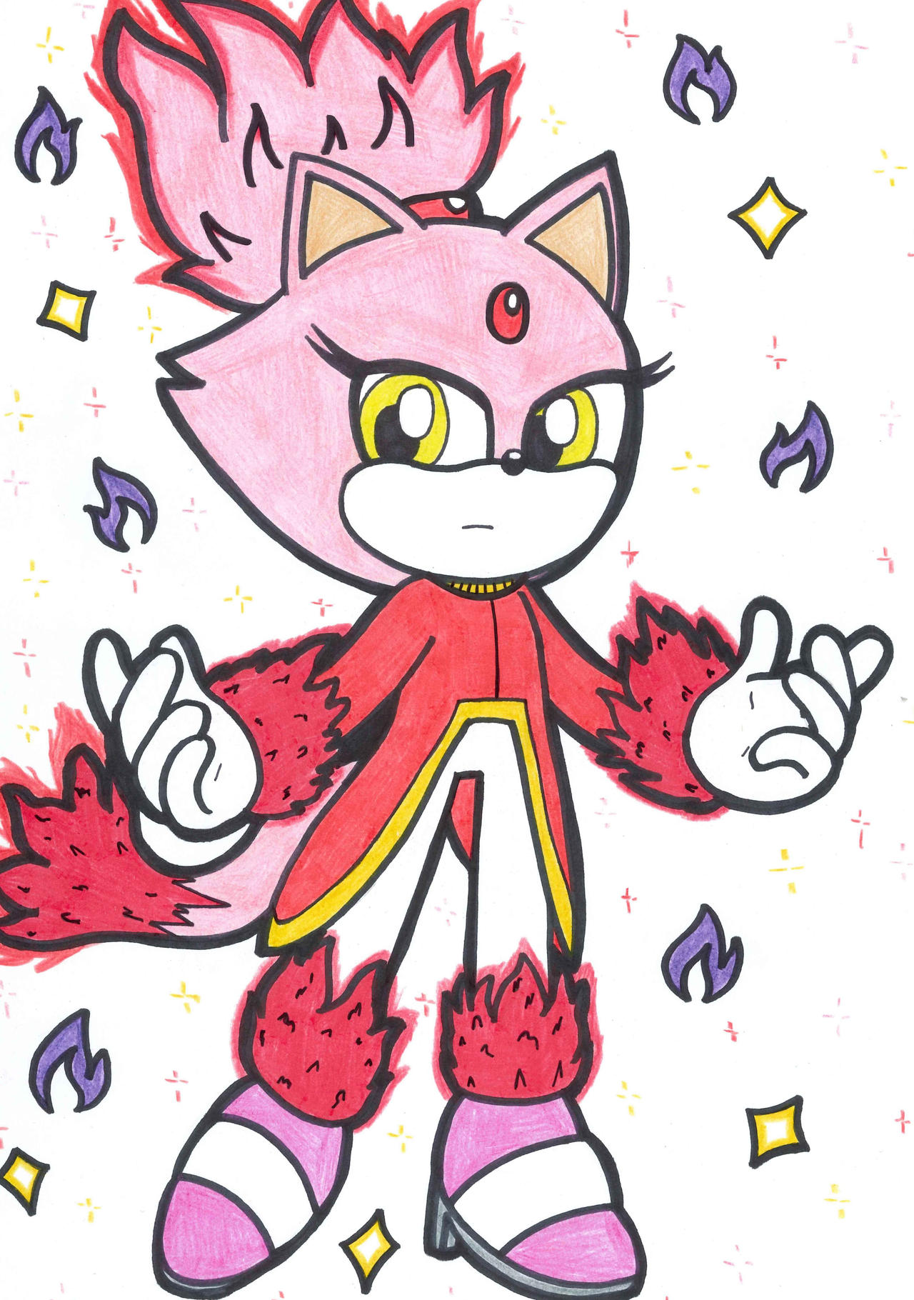 Burning Blaze the Cat