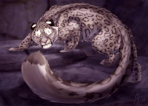 Angry Snow Leopard