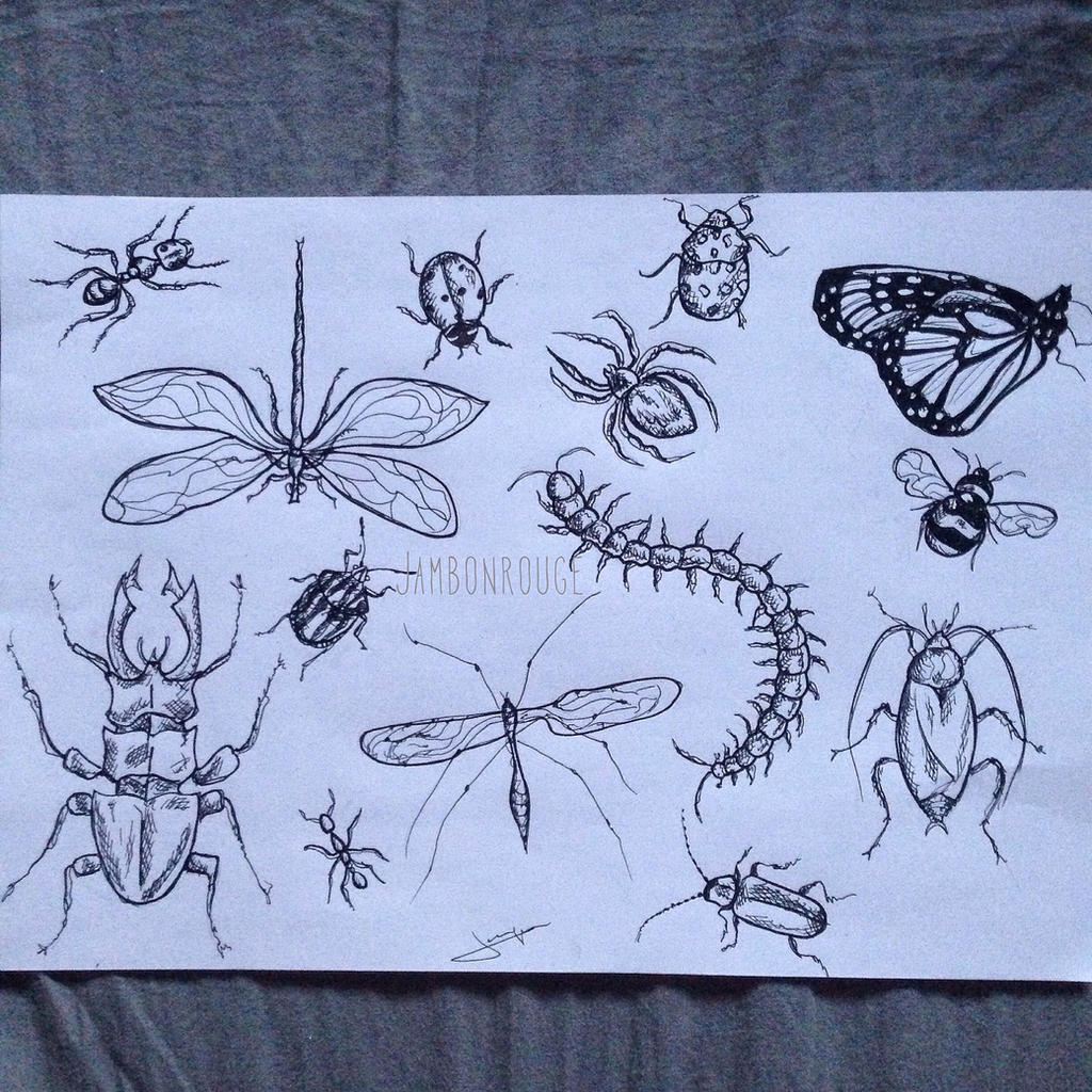 Defeated Insect Drawing Insect by BrutalxCrash on DeviantArt