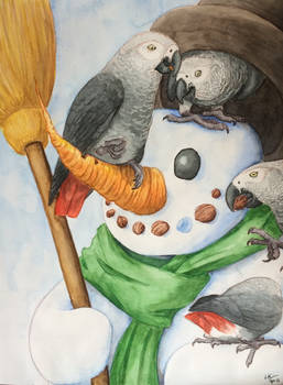 grey parrots and Snowman