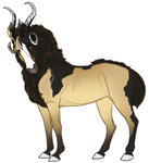 2906 | Zephyr by Zugunruhes