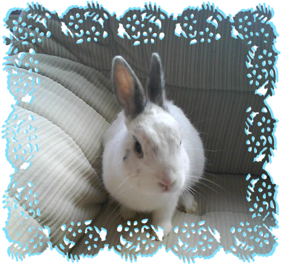 Felix '24' by bttfmjffan on DeviantArt