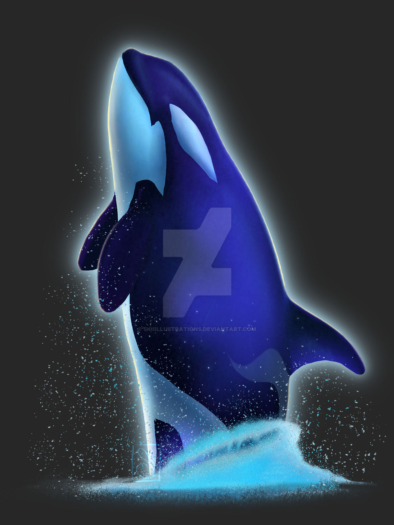 Adhd Orca Orca Study by SkiiIllustrations on DeviantArt