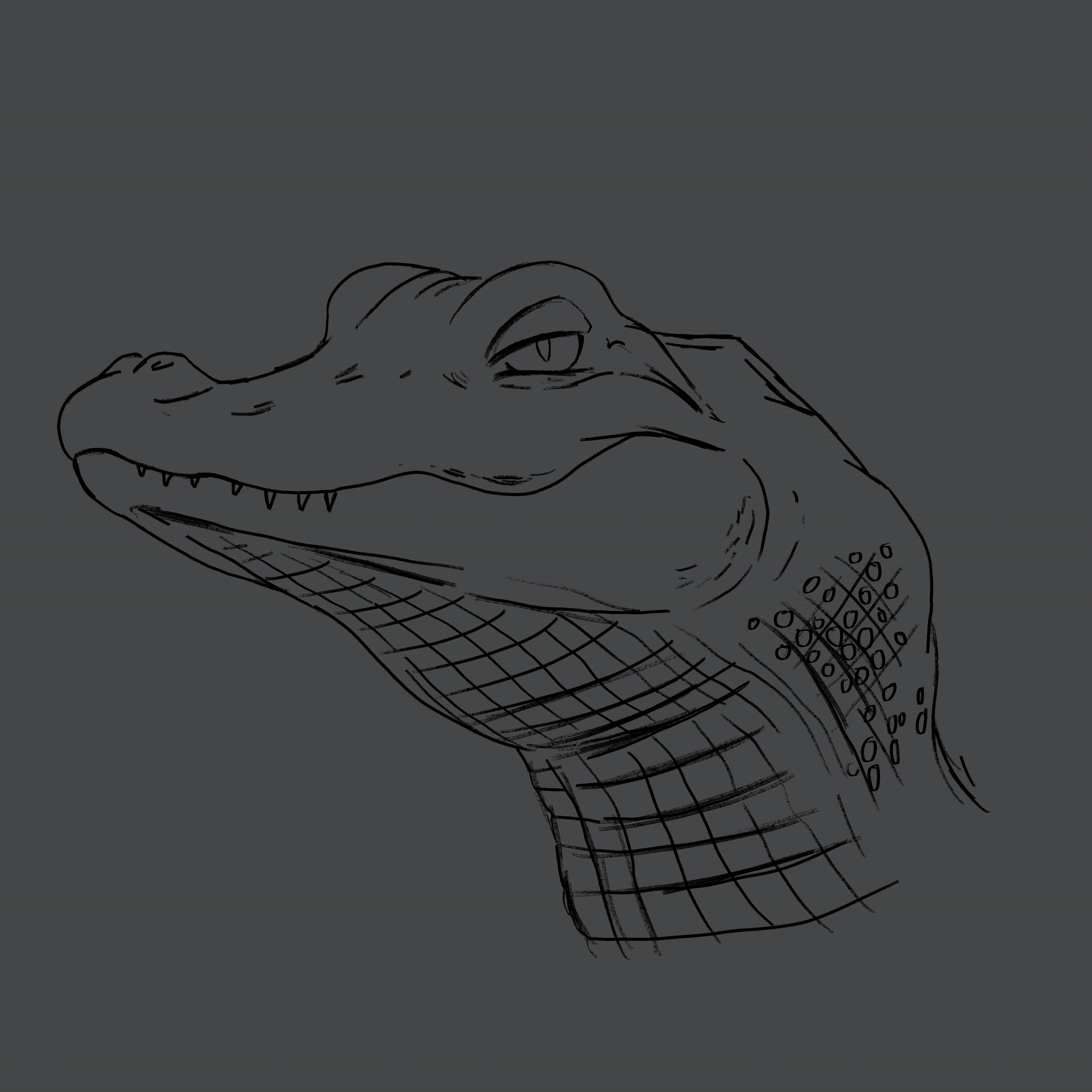 crocodile animation by SkiiIllustrations on DeviantArt crocodile animation by SkiiIllustrations on DeviantArt