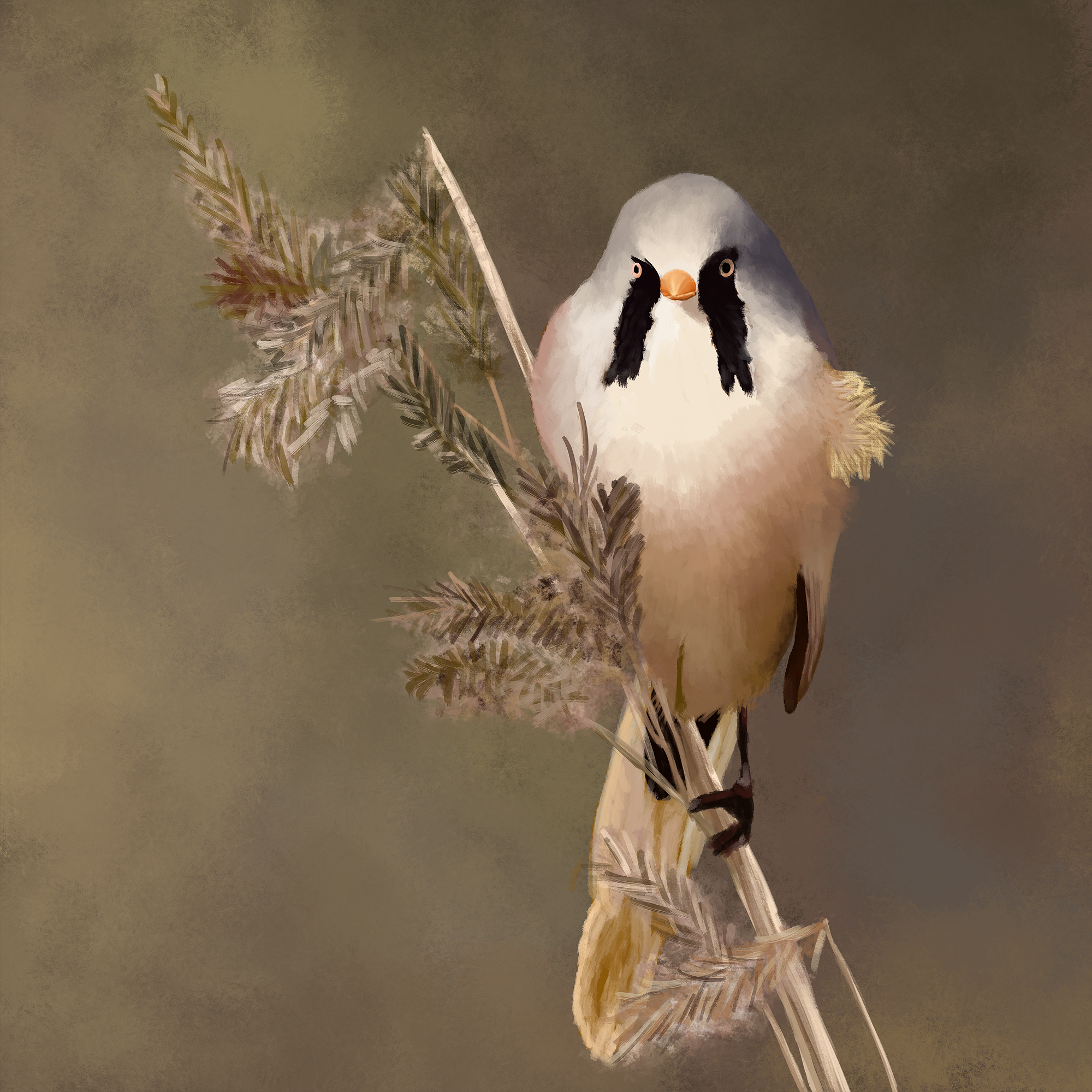 Bearded Reedling Digital Painting