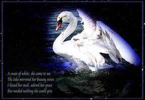 Swan of White