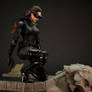 Catwoman - The Dark Knight Rises