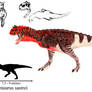 A male Carnotaurus sastrei