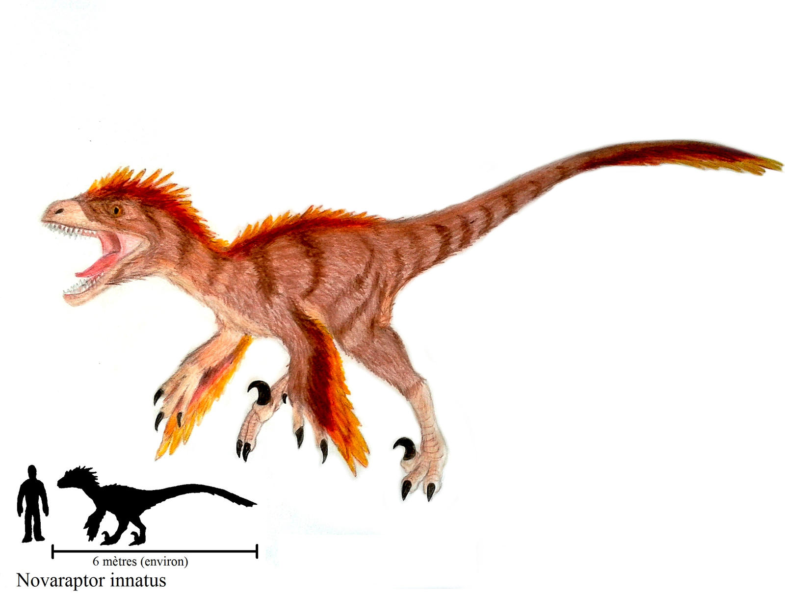 Novaraptor Render Primal Carnage Novaraptor innatus by ZeWqt on DeviantArt