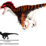 Utahraptor ostrommaysorum