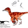 Protapriliraptor longicheirus