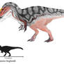 Nanuqsaurus hoglundi