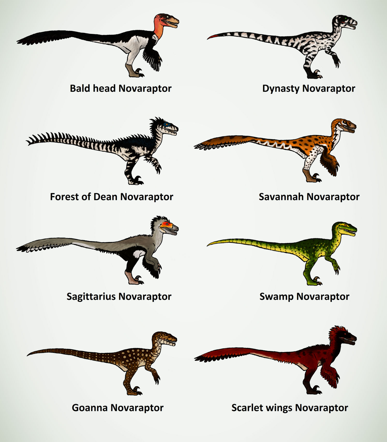 Novaraptor Types Novaraptor skin ideas by ZeWqt on DeviantArt