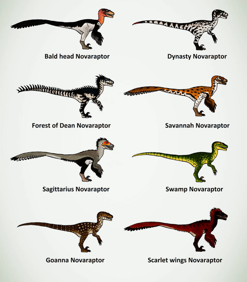 Novora Raptor Novaraptor skin ideas by ZeWqt on DeviantArt