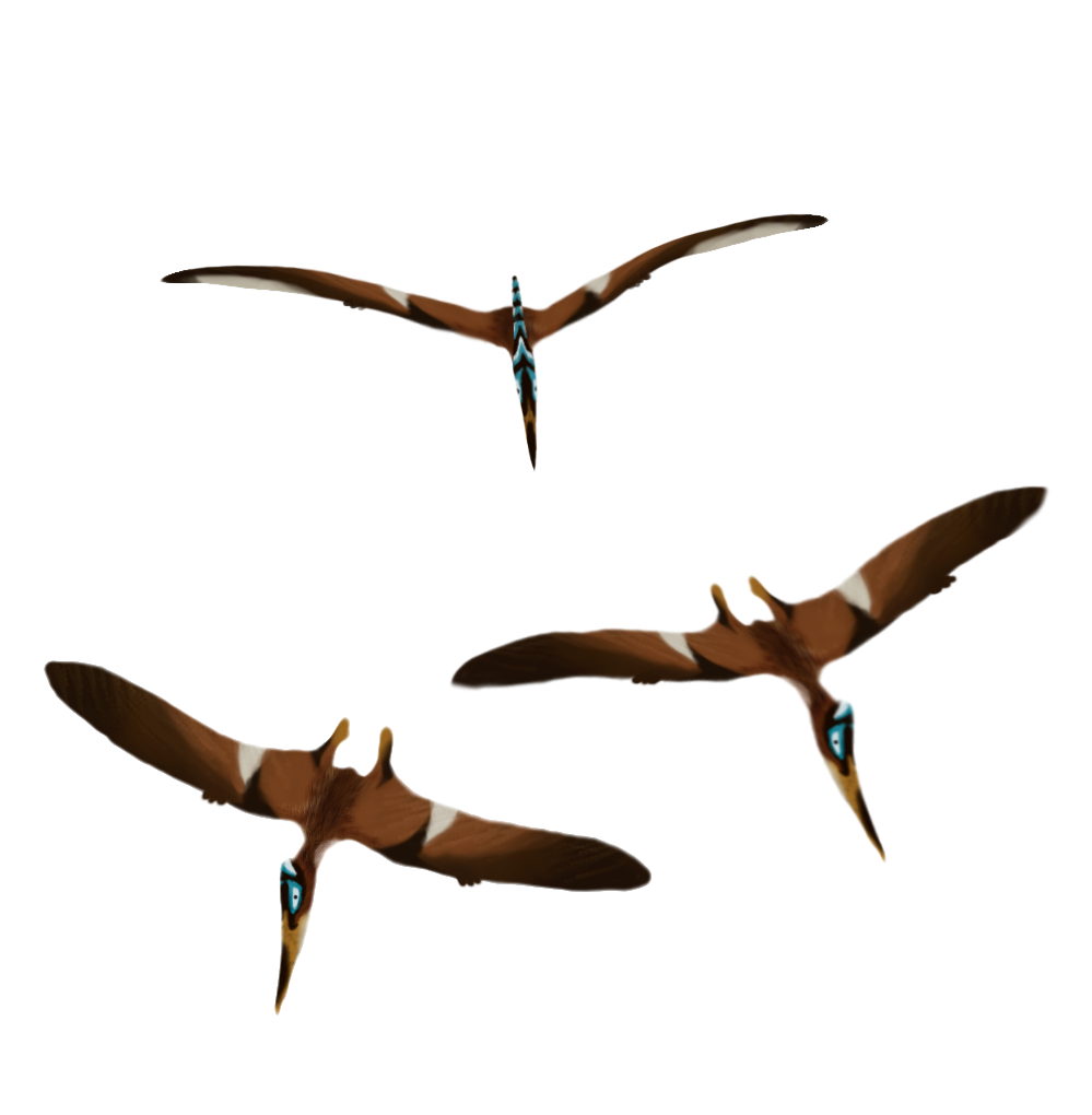 Pterodactyl Pteranodon and Pterosaur - Design by Zavraan on DeviantArt