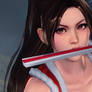 DOA 5 Last Round PC Mai Shiranui 5