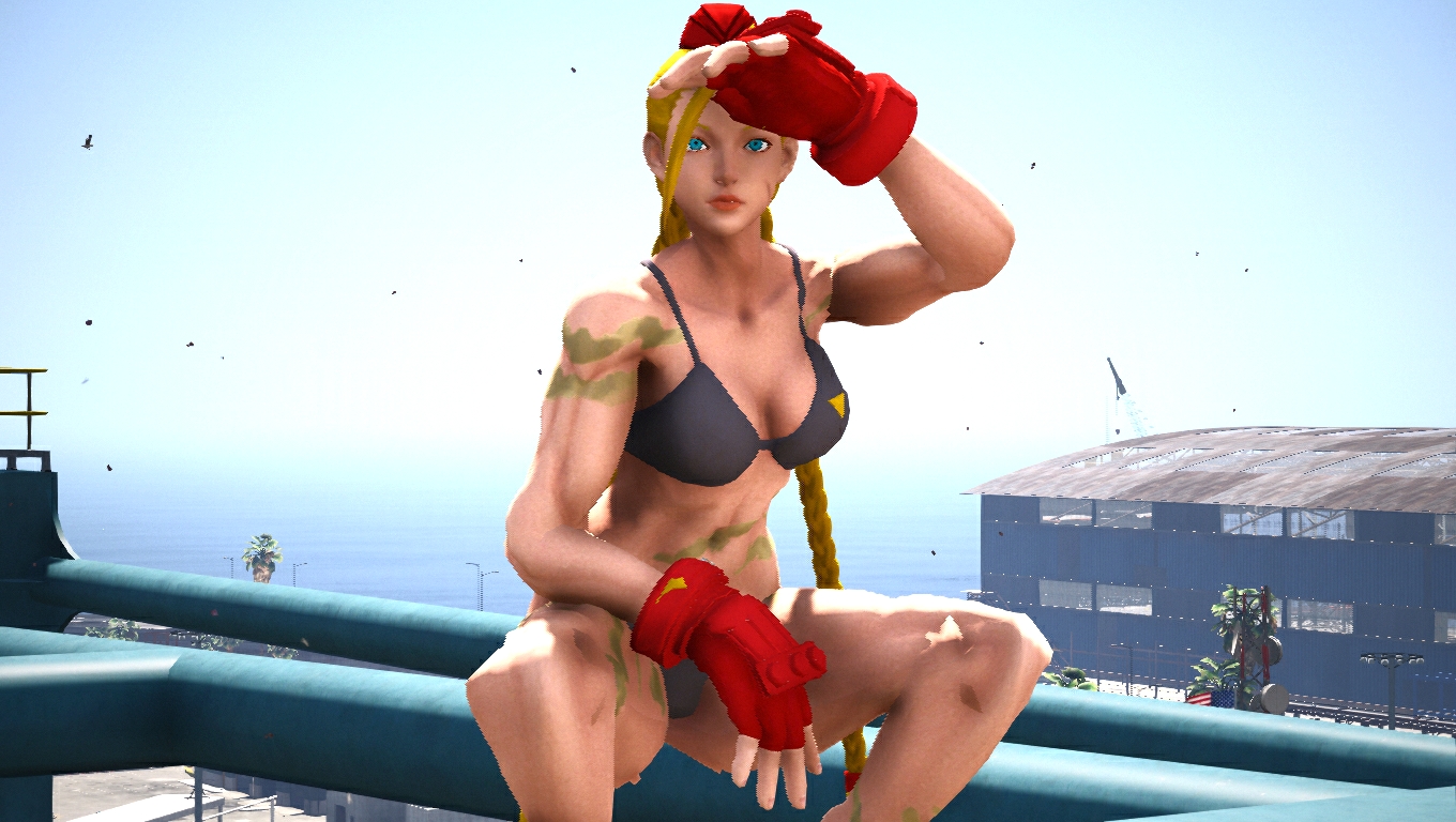 Street Fighter V CE PC Cammy 7 by danytatu on DeviantArt