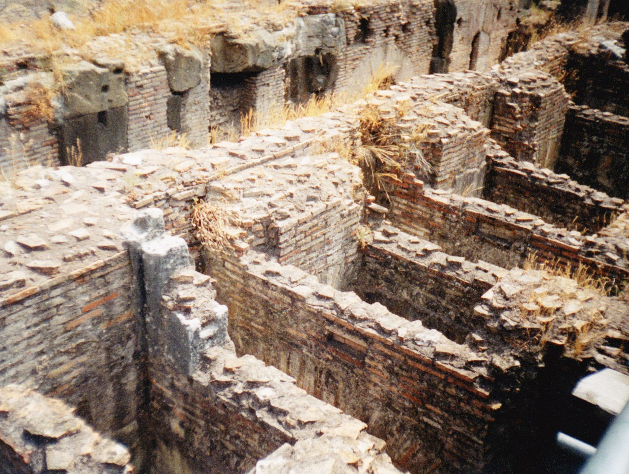 Ancient Rome Cells Colosseum Cells by Mirumoto-Kenjiro on DeviantArt