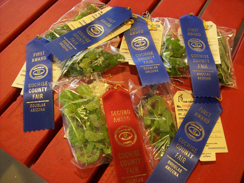 County Fair Ribbons 2023 by Mirumoto-Kenjiro on DeviantArt