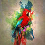 funky macaw