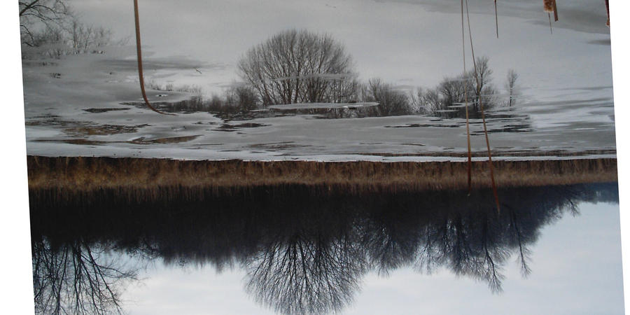 Ice Reflection by specialoftheweek on DeviantArt