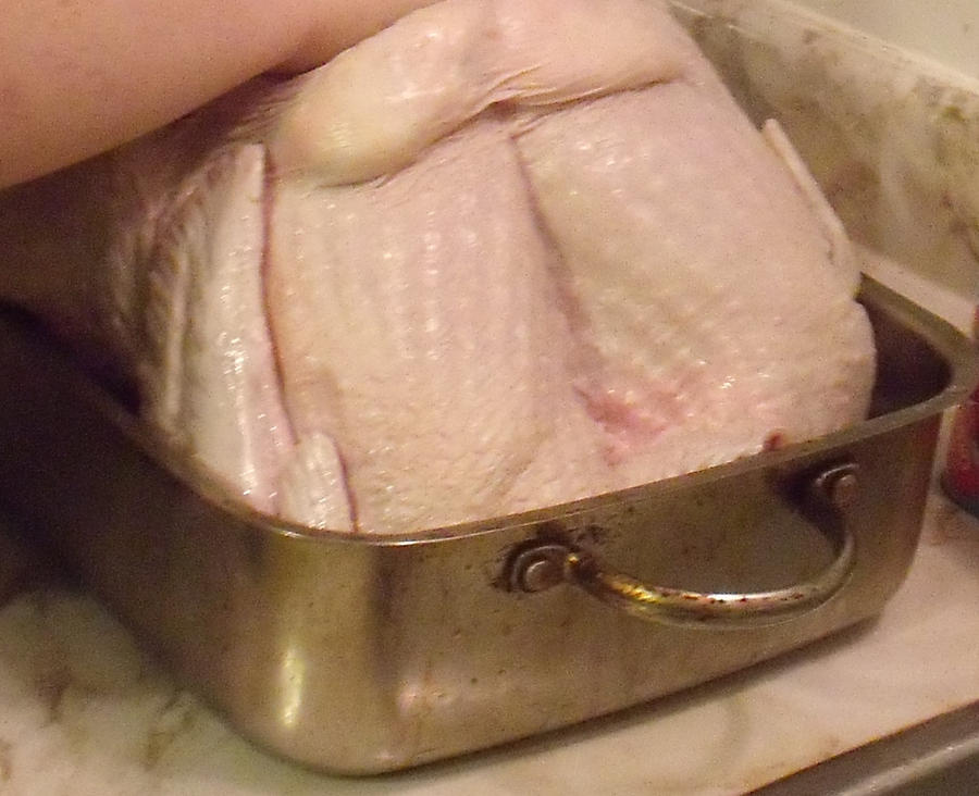 Raw Turkey in Pan