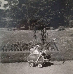 Unknown German Gardens with cool baby buggy