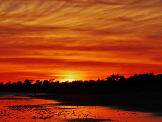 bloody beach