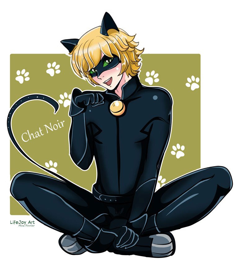 Chat Noir =3