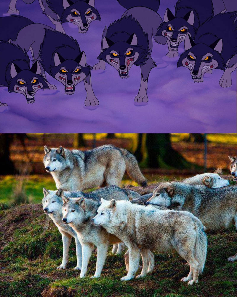 Beauty and the Beast Wolves' Basis by sirjosh9 on DeviantArt