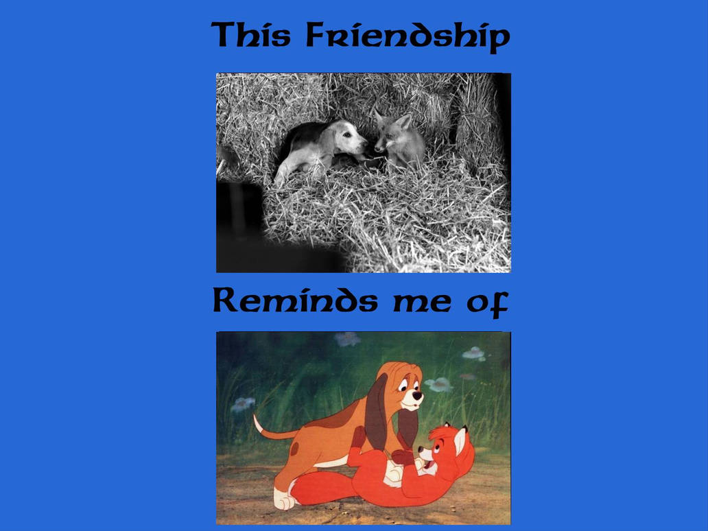 Tag and Merlin Reminds Me of Tod and Copper by sirjosh9 on DeviantArt