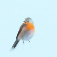 Robin