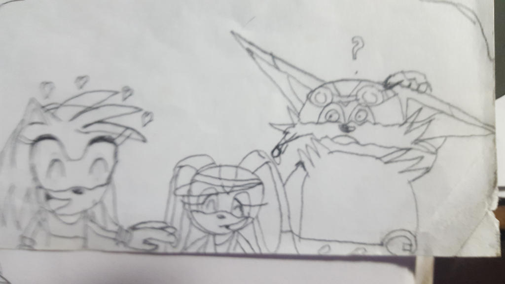 Team Rose Rider by GokuvsSonic2012 on DeviantArt