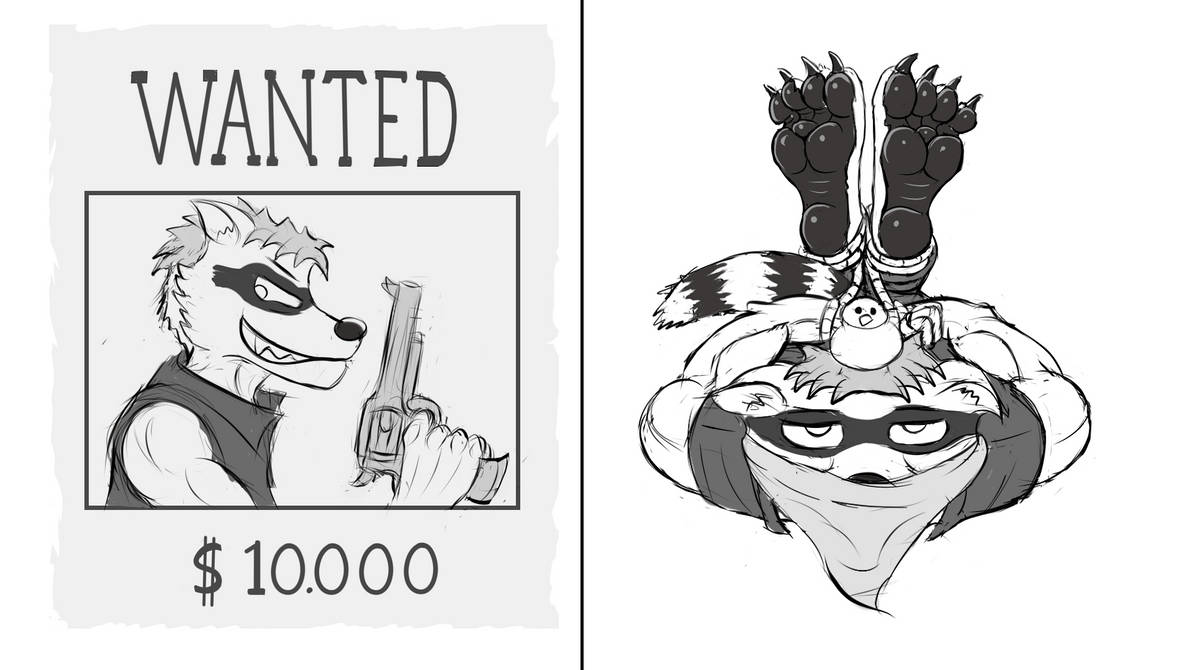 Bandit raccoon by RamsayD on DeviantArt