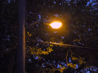The Light On Salem Street