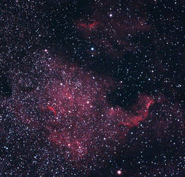 North America Nebula (NGC 7000) 2.0