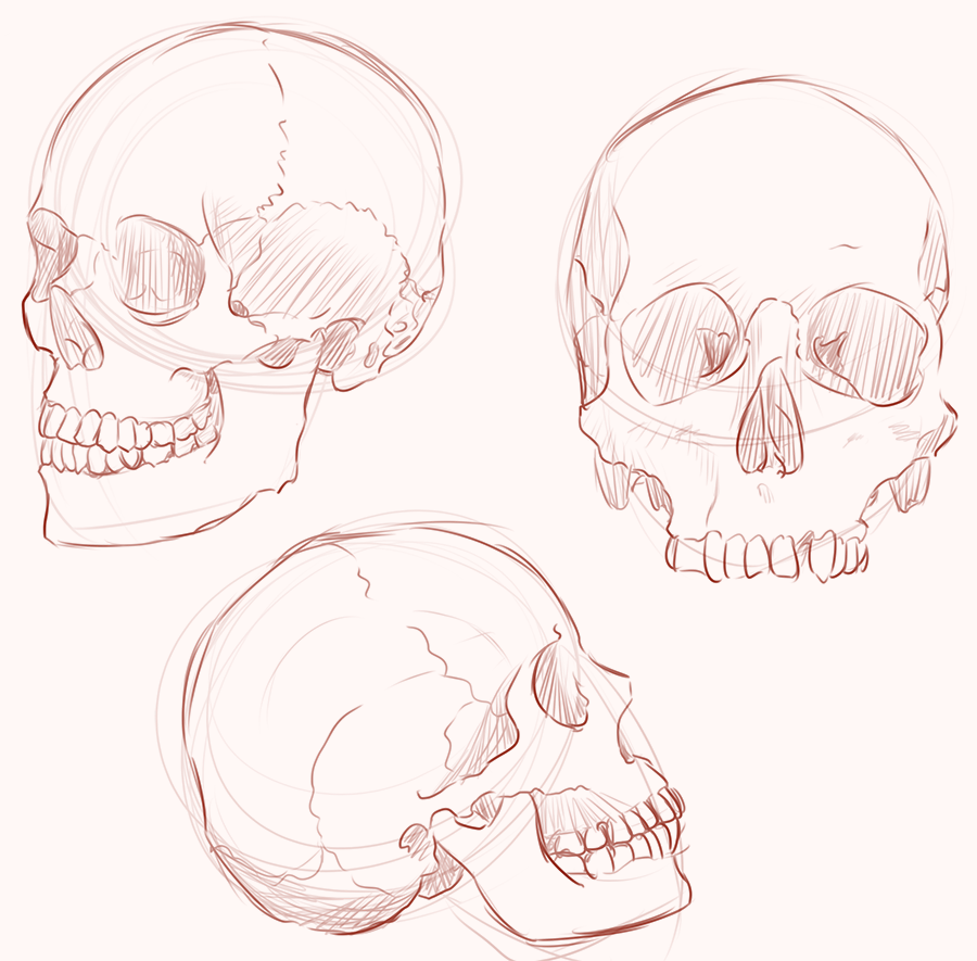 Skulls