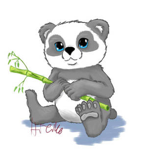 Babby panda