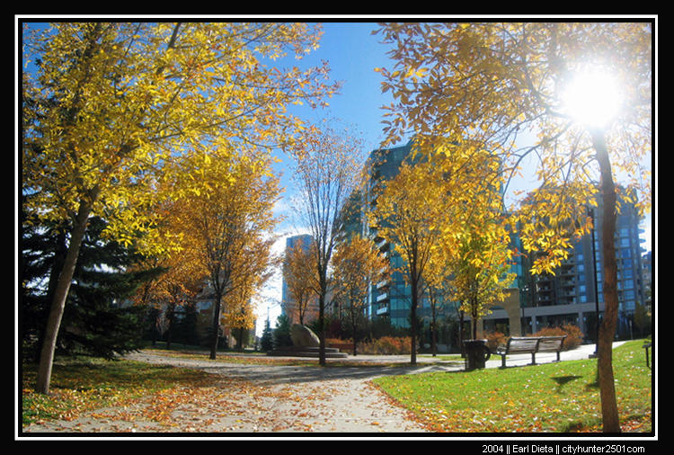 Bow River Calgary Fall 2004 p1