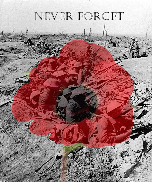 Remembrance Day - Poppy Day