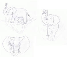 Elephant Tattoos