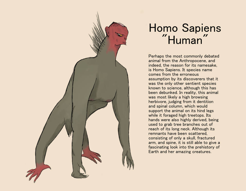 Homo Sapiens Legacy Arch The Hardware Spec Comparison