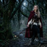 Storybook Challenge: Red Riding Holly